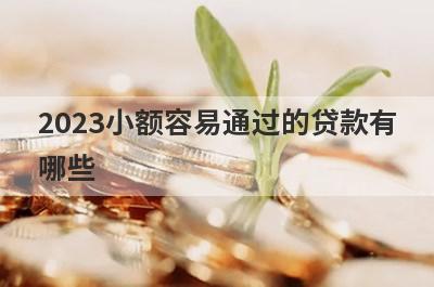 2023小额容易通过的贷款有哪些？分享五个好用的小额网贷平台
