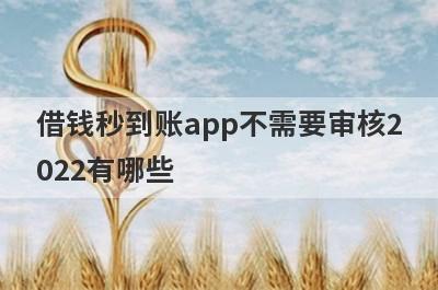 借钱秒到账app不需要审核2022有哪些？这5个非常容易下款
