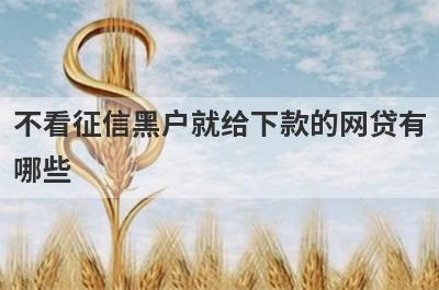 不看征信黑户就给下款的网贷有哪些？推荐5个无回访秒到账口子