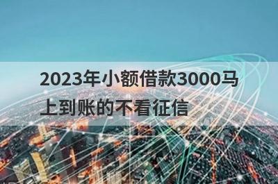 2023年小额借款3000马上到账的不看征信 不查征信的小额贷款