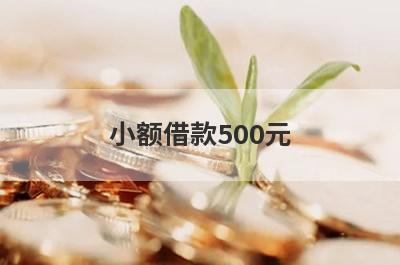 小额借款500元