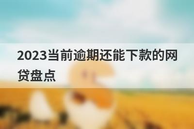 2023当前逾期还能下款的网
贷盘点
