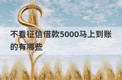 不看征信借款5000马上到账的有哪些？这5个容易下款