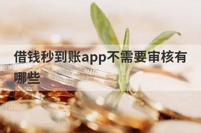 借钱秒到账app不需要审核有哪些？独家盘点黑户口子秒下的平台