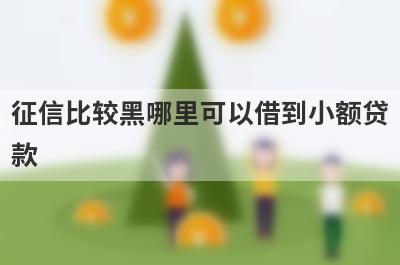 征信比较黑哪里可以借到小额贷
款
