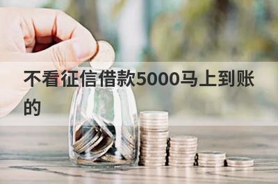 不看征信借款5000马上到账的（最新无需征信的贷款2023）