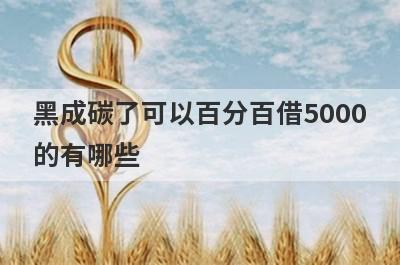 黑成碳了可以百分百借5000的有哪些？黑成碳了必下款口子