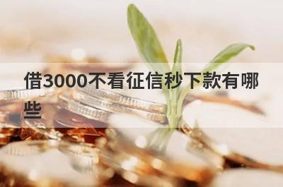 借3000不看征信秒下款有哪些？整理5个黑户借款必下口子秒到账