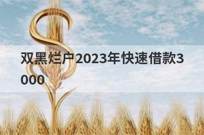 双黑烂户2023年快速借款3000，这5个小额贷款轻松实现