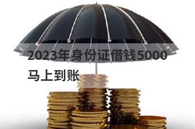 2023年身份证借钱5000马上到账 盘点5个不审核直接放款的平台