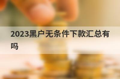2023黑户无条件下款汇总有吗？这些口子百分百下款马上到账