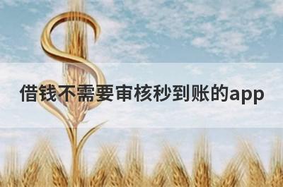 借钱不需要审核秒到账的app
