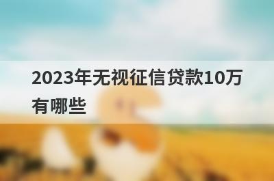 2023年无视征信贷款10万
有哪些
