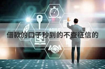 借款的口子秒到的不查征信的(不看征信的正规贷款平台一定能下款)