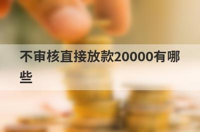 不审核直接放款20000有哪些？分享5个应急周转下款快的网贷