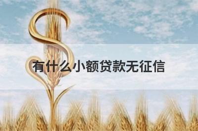 有什么小额贷款无征信？这几个都可以了解，轻松借款！