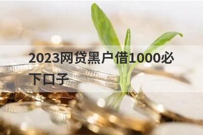 2023网贷黑户借1000必下口子，这5个网贷黑户马上到账