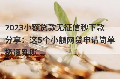 2023小额贷款无征信秒下款分享：这5个小额网贷申请简单极速到账！