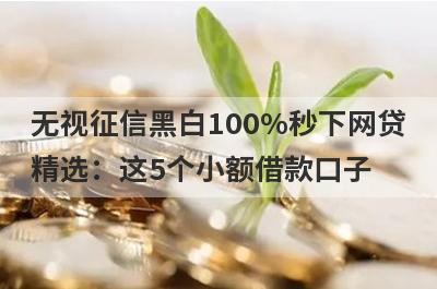 无视征信黑白100%秒下网贷
精选：这5个小额借款口子
