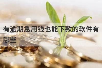 有逾期急用钱也能下款的软件有哪些？盘点5个2023有逾期急用钱好下款的app