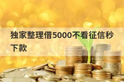 独家整理借5000不看征信秒下款，这5个网贷口子更好下款，秒到账！
