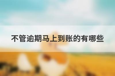不管逾期马上到账的有哪些？盘点5个黑户逾期秒下款