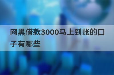 网黑借款3000马上到账的口子有哪些？独家盘点5个2023年黑口子审核必过的平台