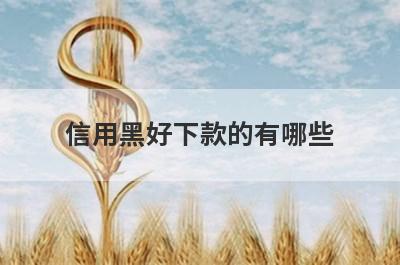 信用黑好下款的有哪些