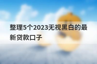 整理5个2023无视黑白的最新贷款口子，需要的可以试试