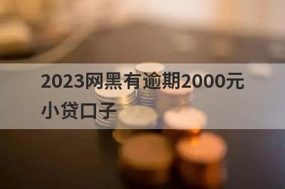 2023网黑有逾期2000元小贷口子，分享5个网黑有逾期容易通过的平台