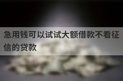 急用钱可以试试大额借款不看征
信的贷款
