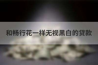 和畅行花一样无视黑白的贷款 盘点5个黑征信也能贷款的网贷
