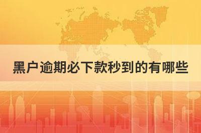 黑户逾期必下款秒到的有哪些？分享5个随便就能下款的平台