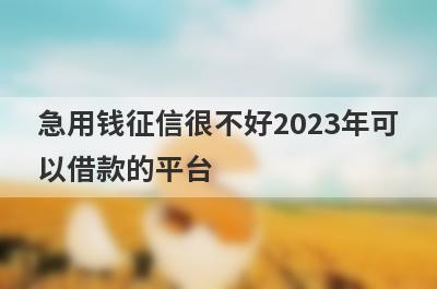 急用钱征信很不好2023年可以借款的平台？盘点征信很不好马上到账的口子