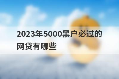 2023年5000黑户必过的网贷有哪些？盘点5个不查征信的借款平台百分百通过