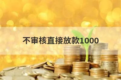 不审核直接放款1000 整理5个100%通过贷款不看征信
