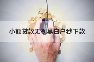 小额贷款无视黑白户秒下款，汇总几个小额网贷平台，申请简单！