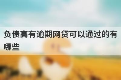 负债高有逾期网贷可以通过的有哪些？试试负债高有逾期不用审核就下款口子