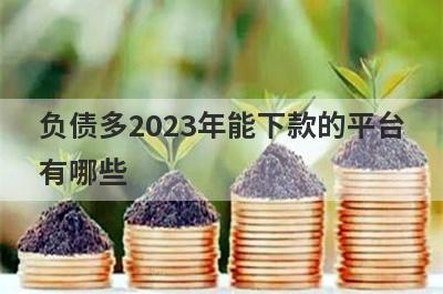负债多2023年能下款的平台
有哪些
