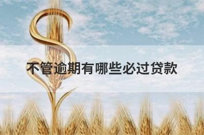 不管逾期有哪些必过贷款？这5个贷款app严重逾期秒到账