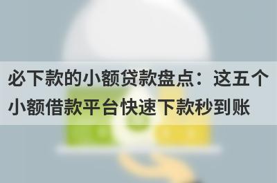 必下款的小额贷款盘点：这五个小额借款平台快速下款秒到账！