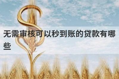 无需审核可以秒到账的贷款有哪些？分享五个好用的小额网贷平台