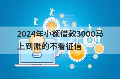 2024年小额借款3000马上到账的不看征信，5个小额贷款平台汇总，申请简单！