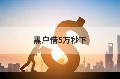 黑户借5万秒下 黑户逾期百分百下款