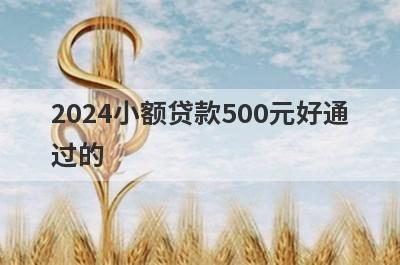 2024小额贷款500元好通
过的
