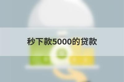 秒下款5000的贷款 独家盘点借钱的平台100%能借到