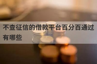 不查征信的借款平台百分百通过有哪些？轻松贷款快速放款