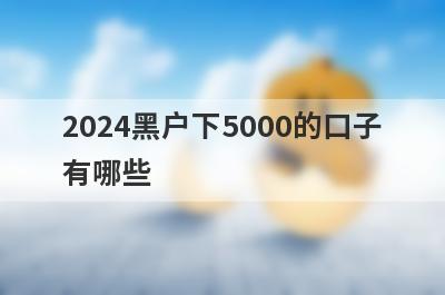 2024黑户下5000的口子有哪些？贷款黑白户百分百通过