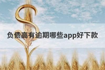 负债高有逾期哪些app好下款？试试这5极速借钱秒到账的平台