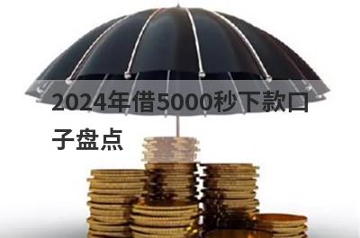 2024年借5000秒下款口子盘点，五大借款最容易下款的平台，极速借款秒到账